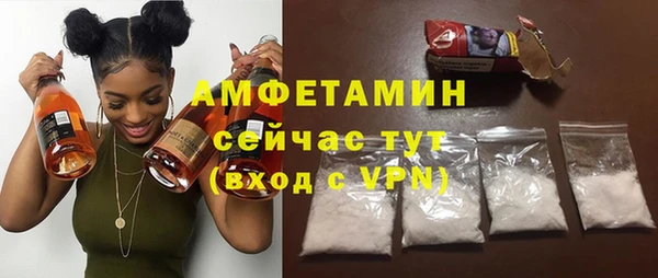 сатива Гусев