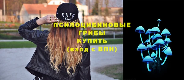сатива Гусев