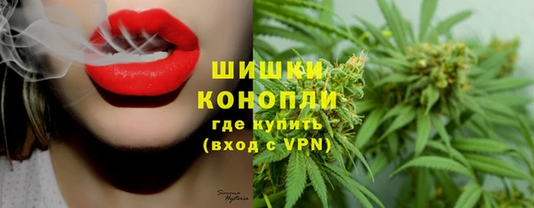 сатива Гусев