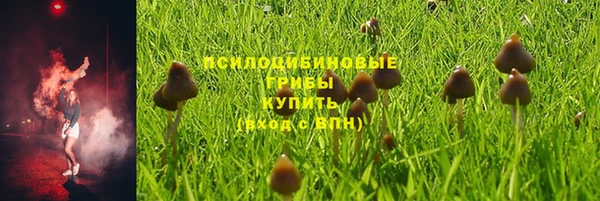 прущая мука Дмитриев