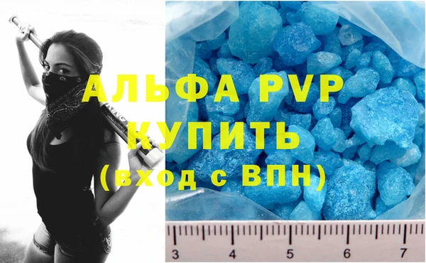 сатива Гусев