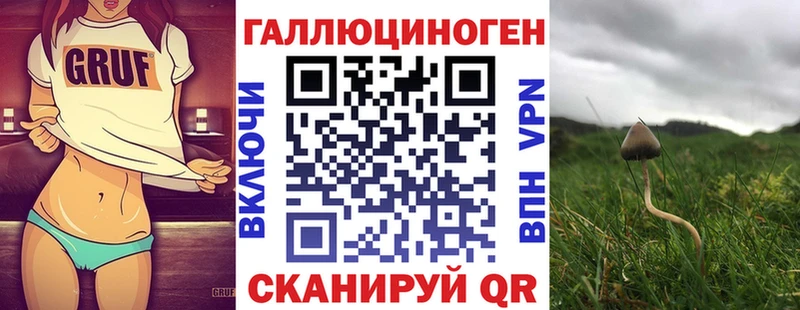 Псилоцибиновые грибы Magic Shrooms  Купить закладки  Павловск 