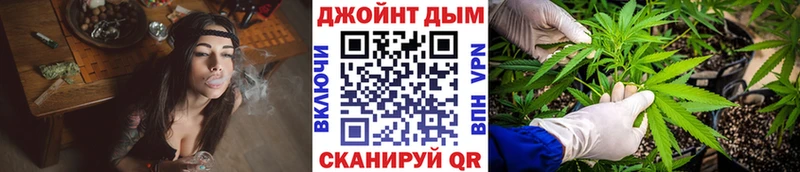 Шишки марихуана планчик  Купить где  Павловск 